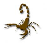 Avatar de E-Scorpion